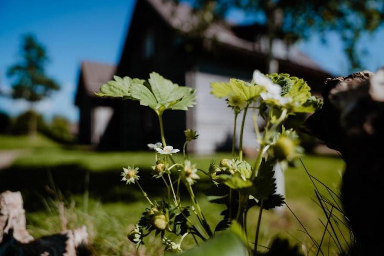 Semi Detached Houses Turf House Torfhaus ภายนอก รูปภาพ